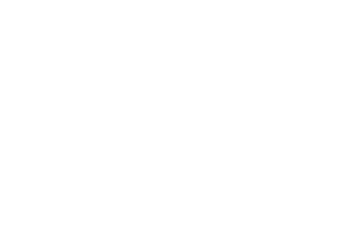 ソルトの仲間たち