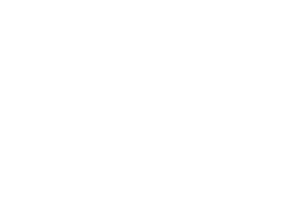 ソルトの仲間たち