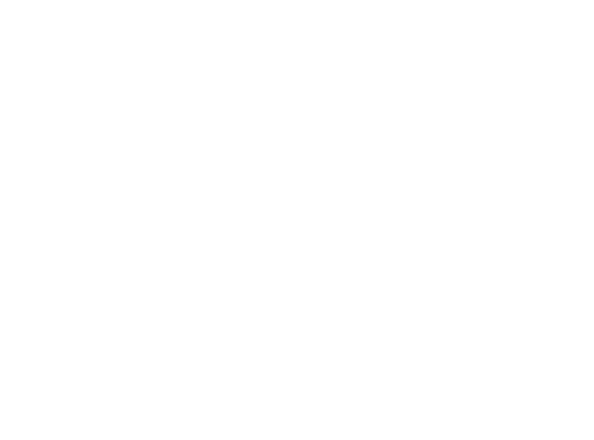 ソルトの仲間たち